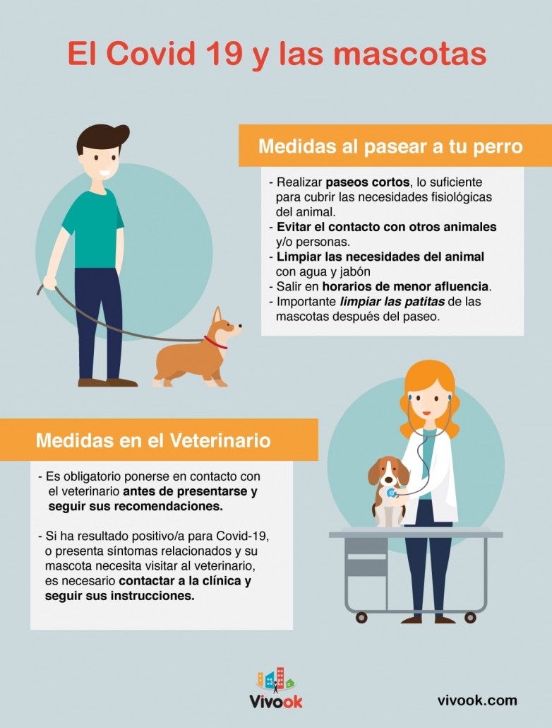 mascotas
