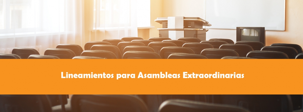asambleas extraordinarias_Mesa de trabajo 1 asambleas extraordinarias