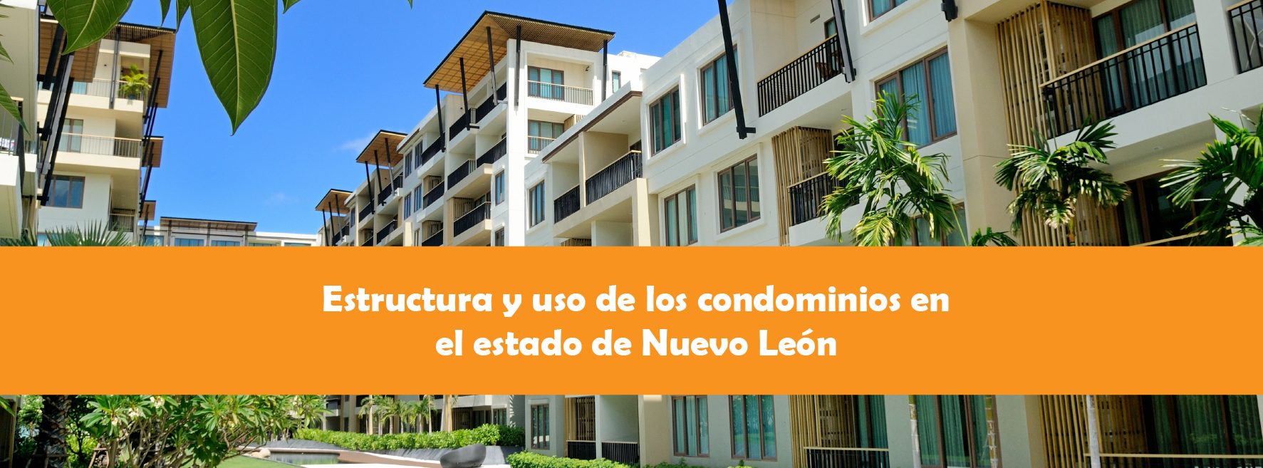 estructura nuevo leon nuevo leon