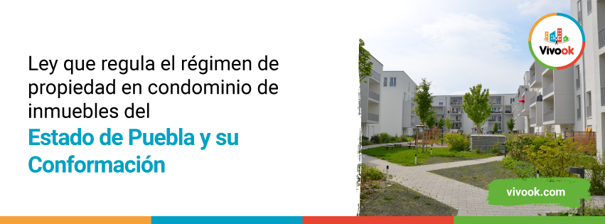 ley-puebla-2