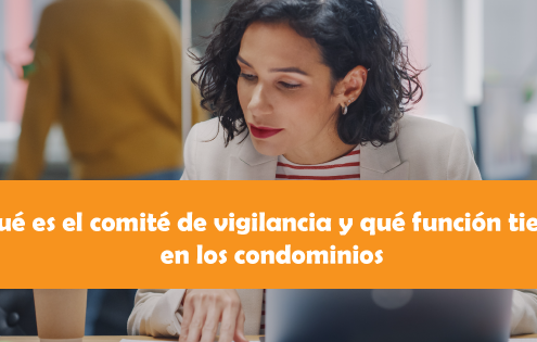 comite de vigilancia