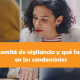 comite de vigilancia