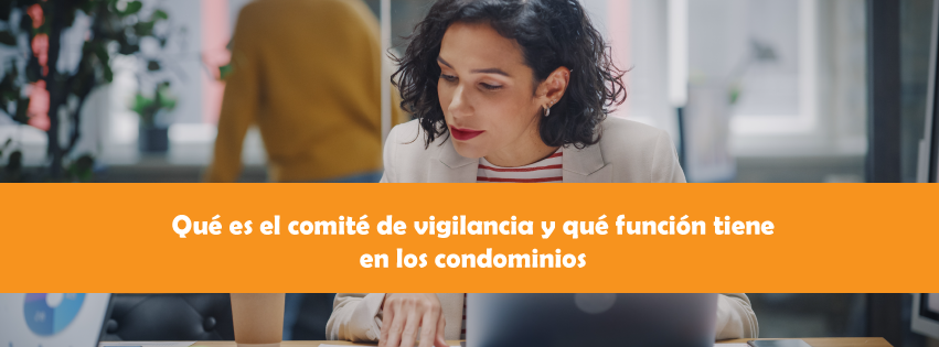 comite de vigilancia