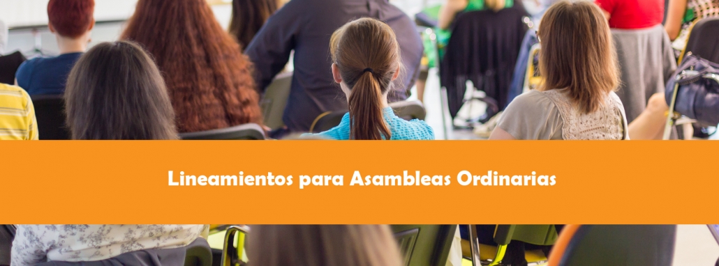 asambleas ordinarias