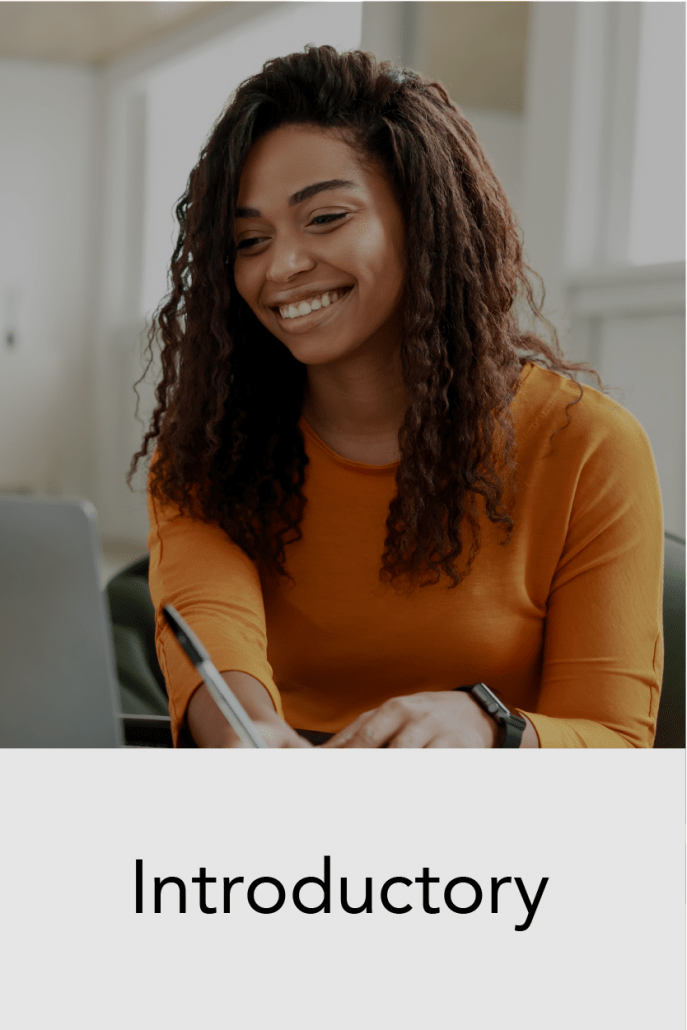 niveles insignias_Mesa de trabajo 1 academia-introductory